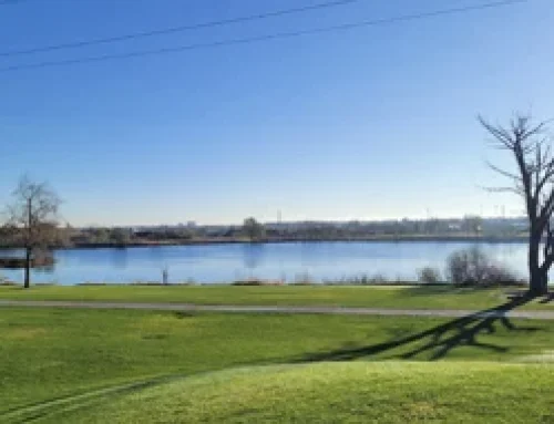 Centennial Park Improvements