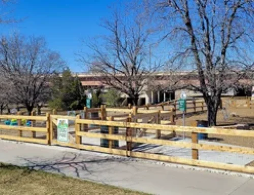Cushing Dog Park